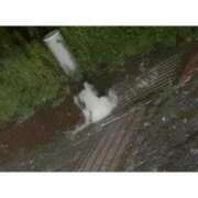 ヒメ日記 2025/08/11 01:35 投稿 まりか SUZUME