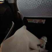 ヒメ日記 2025/08/22 18:54 投稿 まりか SUZUME