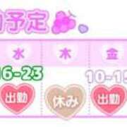 ヒメ日記 2025/09/01 10:23 投稿 まりか SUZUME