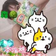 ヒメ日記 2025/09/05 08:01 投稿 まりか SUZUME