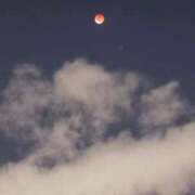 ヒメ日記 2025/09/08 03:08 投稿 まりか SUZUME