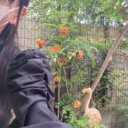 ヒメ日記 2025/10/21 06:40 投稿 まりか SUZUME