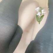 ヒメ日記 2025/10/27 12:51 投稿 まりか SUZUME