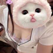 ヒメ日記 2025/11/08 16:50 投稿 まりか SUZUME