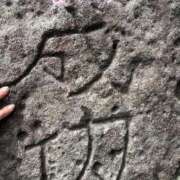 ヒメ日記 2025/11/27 00:42 投稿 まりか SUZUME