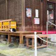 ヒメ日記 2025/11/29 19:29 投稿 まりか SUZUME