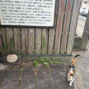 ヒメ日記 2025/11/30 14:01 投稿 まりか SUZUME