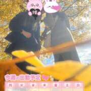 ヒメ日記 2025/12/01 09:13 投稿 まりか SUZUME