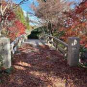 ヒメ日記 2025/12/03 21:02 投稿 まりか SUZUME