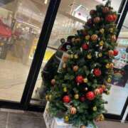 ヒメ日記 2025/12/24 06:30 投稿 まりか SUZUME