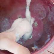 ヒメ日記 2026/01/30 11:52 投稿 まりか SUZUME