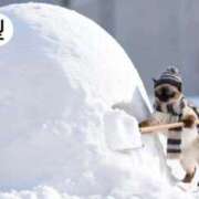 ヒメ日記 2026/02/03 07:55 投稿 まりか SUZUME