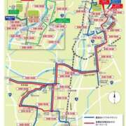 ヒメ日記 2026/02/15 07:15 投稿 まりか SUZUME