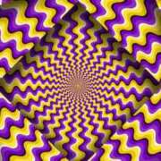 ヒメ日記 2026/02/19 12:52 投稿 まりか SUZUME