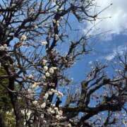 ヒメ日記 2026/02/20 06:47 投稿 まりか SUZUME