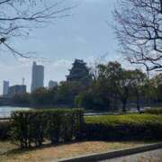 ヒメ日記 2026/03/11 06:43 投稿 まりか SUZUME