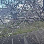 ヒメ日記 2026/03/23 15:54 投稿 まりか SUZUME