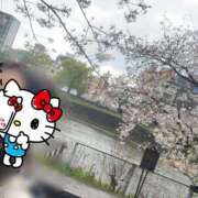 ヒメ日記 2026/03/31 09:47 投稿 まりか SUZUME