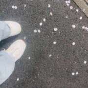 ヒメ日記 2026/03/31 09:57 投稿 まりか SUZUME