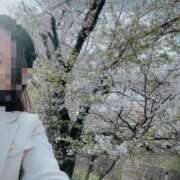 ヒメ日記 2026/04/05 10:52 投稿 まりか SUZUME