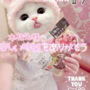 ヒメ日記 2026/04/20 23:15 投稿 まりか SUZUME