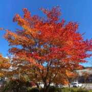 ヒメ日記 2025/05/27 12:04 投稿 えと Charme（シャルム）