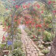 ヒメ日記 2025/06/11 20:42 投稿 えと Charme（シャルム）