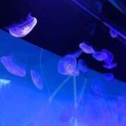 ヒメ日記 2025/06/14 00:32 投稿 えと Charme（シャルム）