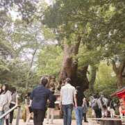 ヒメ日記 2025/07/18 17:22 投稿 えと Charme（シャルム）