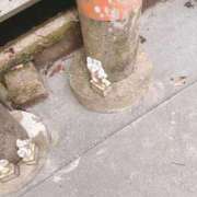 ヒメ日記 2025/07/21 10:22 投稿 えと Charme（シャルム）