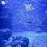 ヒメ日記 2025/09/30 00:25 投稿 えと Charme（シャルム）