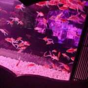 ヒメ日記 2025/11/08 15:40 投稿 えと Charme（シャルム）