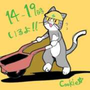 ヒメ日記 2025/01/16 17:31 投稿 クッキーちゃん Cawaiiハイ！スクールリターンズ