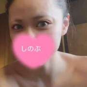 ヒメ日記 2025/06/27 12:21 投稿 しのぶ 池袋人妻ヒットパレード（シンデレラグループ）