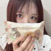 ヒメ日記 2025/02/26 17:26 投稿 ひなみ 横浜シンデレラ（シンデレラグループ）