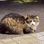 ヒメ日記 2025/05/26 23:46 投稿 ひなみ 横浜シンデレラ（シンデレラグループ）