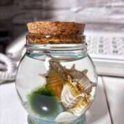 ヒメ日記 2025/07/01 23:11 投稿 ひなみ 横浜シンデレラ（シンデレラグループ）