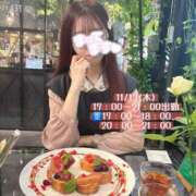 ヒメ日記 2025/11/12 23:30 投稿 ひなみ 横浜シンデレラ（シンデレラグループ）