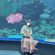 ひなみ 沖縄旅行Part2/1??? 横浜シンデレラ（シンデレラグループ）