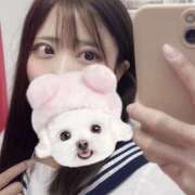 ヒメ日記 2025/04/19 17:54 投稿 れな ときめき女学院