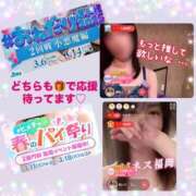 ヒメ日記 2025/03/14 07:32 投稿 あいく ハピネス福岡