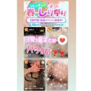 ヒメ日記 2025/03/20 12:52 投稿 あいく ハピネス福岡
