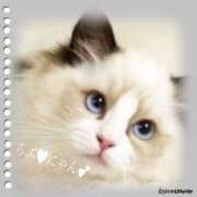 ヒメ日記 2025/04/27 23:09 投稿 さら 完熟ばなな札幌・すすきの