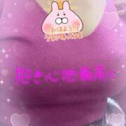 ヒメ日記 2025/04/01 12:16 投稿 こより ぷるるん小町 京橋店