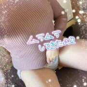 ヒメ日記 2025/04/01 16:11 投稿 こより ぷるるん小町 京橋店