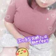 こより とーちゃく！ ぷるるん小町 京橋店