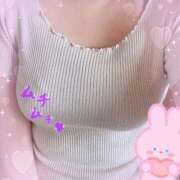 ヒメ日記 2026/05/07 12:11 投稿 こより ぷるるん小町 京橋店