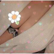 ヒメ日記 2024/12/24 14:00 投稿 ゆりな 渋谷 風俗 奥様発情の会