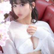 ヒメ日記 2025/02/11 07:00 投稿 ひなの スチュワーデス