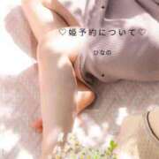 ヒメ日記 2025/04/15 17:30 投稿 ひなの スチュワーデス